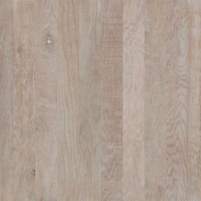 Anderson Coastal Art 5 Sand Dollar Hardwood Flooring