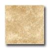 Angelgres Oregon 12 X 12 Beige Tile & Stone