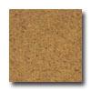 Apc Cork Floor Tile 4.8mm Sandy Cork Flooriny