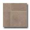 Armstrong Afton - Dry Back Santana Fieldstone Taupe Vinyl Flooring