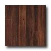 Armstrong Arbor Art 4 X 36 Waljut Medium Vinyl Flooring