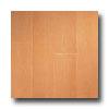 Armstrong Arbor Art 6 X 36 Warm Beech Medium Vinyl Flooring