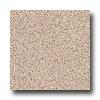 Armmstrong Arteffects Premium Excelon Pissaro Cream Vinyl Flooring