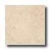 Armstrong Artifact Room 12 X 12 Antique White Tile & Stone