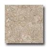 Armstrong Caliber - Self-stick Gothic Stone Ii Mineral Beige Vinyl Flooring