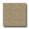 Armstrong Camino 12 X 12 Noche Tile & Stone