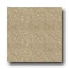 Armstrong Camino 12 X 12 Purcara Tile & Stone