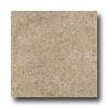 Armstrong Classic Collection Multistone Ii Sand Vinyl Flooring