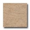 Armstrong Classic Collection Camara Slate Ii Beige Vinyl Flooring