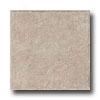 Armstrong Classic Accumulation Grouted Ceramic Ii Pumice Vinyl Flooring