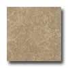 Armstrong Colestone 16 X 16 Colestone Soft Brown Tile & Stone