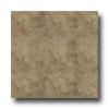 Armstrong Dalles 13 X 13 Noche Tile & Stone