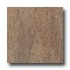 Armstrong Earthcuts 12 X 12 Roma Stone Noce Vinyl Flooring