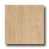 Armstrong Earthcuts 12 X 24 Roma Stone Crema Vinyl Flooring