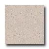 Armstrong Excelon Companion Square Premium Multi Taupe Vinyl Flooring