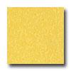 Armstrong Excelon Imperial Texture Lemon Golden Vinyl Flooring