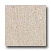 Armstrong Excelon Imperial Texture Pebble Tan iVnyl Flooring