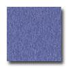 Armstrong Excelon Imperiall Texture Violet Bloom Vinyl Flooring