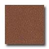 Armstrong Excelon Imperial Texture Cinnamon Brown Vinyl Flooring