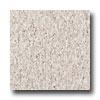 Armstrong Excelon Imperial Texture Taupe Vinyl Flooring