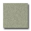 Armstrong Excelon Majestic Texture Granny Smith Vinyl Flooring