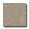 Armstrong Excelon Imperial Texture Earthstone Greige Vinyl Flooring