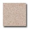 Armstrong Excelon Impwrial Texture Hazelnut Vinyl Flooring