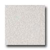 Armstronb Excelon Imperial Texture Soft Excited Gray Vinyl Flooring