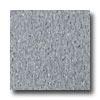 Armstrogn Excelon Imperial Texture Blue Gray Vinyl Flooring