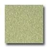 Armstrong Excelon Imperial Texture Little Green Apple Vinyl Flooring