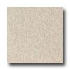 Armstrong Excelon Imperial Texture Minnt Cream Vinyl Flooring