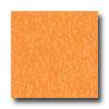 Armstrong Excelon Standard Rave Screamin Pumpki Vinyl Flooring