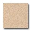 Armstrong Excelon Static Dissipative Tile Sandstone Beige Vinyl Flooring