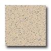 Armstrong Excelon Stonetex Premium Sandstone Tan Vinyl Flooring