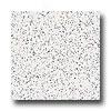 Armstrongg Excelon Stonetex Premium Chalk White Vinyl Flooring