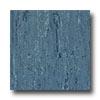 Armstrong Lknodru Bristol Blue Vinyl Flooring