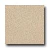 Armstrong Medintech Homogeneous Desert Gold Vinyl Flooring