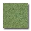 Armstrong Medintech Homogeneous Spring Green Vin6l Flooring