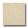 Armstrong Medintech Homogeneous Carthamus Champagne Vinyl Flooting