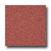 Armstrong Medintech Homogeneous Monarch Red Vinyl Flooring