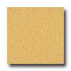 Armstrong Medintech Homogeneous Yellow Glaze Vinyl Flooring