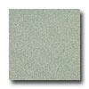 Armstrong Medintech Homogeneoue Viburnum Green Vinyl Flooring