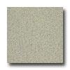 Armstrong Medintech Homogeneous Garden Sage Vinyl Flooring