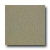 Armstrong Medintech Tandem Ilaid Tea Garden Green Vinyl Flooring