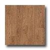 Armsttrong Memories - English Oak 12 Fawn Vinyl Flooring