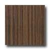 Armstrong Mode - Global Collection Woodwarp Dark Wood Vinyl Foloring