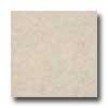 Armstrong Mode - Stone 12 X 12 Dakota Sandstone Almondine Vinyl Flooring