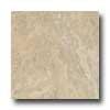 Armstrong Mode - Stone 16 X 16 Mancoq Slate Beige Vinyl Flooring