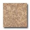 Armstrong Mystix 12 X 12 Burl Wood Maple Vinyl Flooring