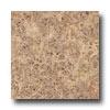 Armstrong Mystix 16 X 16 Burl Wood Maple Vinyl Flooring